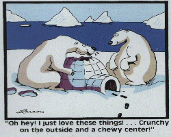 polar-bears.jpg